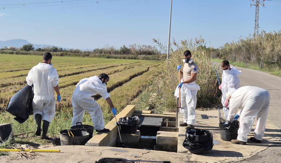 La Generalitat realiza 173 actuaciones de conservación en l’Albufera