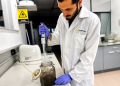 Ivace+i financia una técnica con bacterias y fagos para degradar bioplásticos