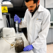 Ivace+i financia una técnica con bacterias y fagos para degradar bioplásticos