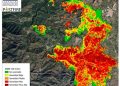 El CEAM estudia la recuperación de las 9.600 hectáreas afectadas por el incendio