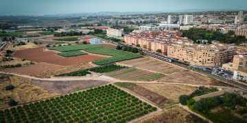 Torrent refuerza la limpieza de parcelas privadas para prevenir incendios