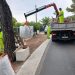 La Diputación de Alicante intensifica la limpieza de carreteras para prevenir incendios forestales