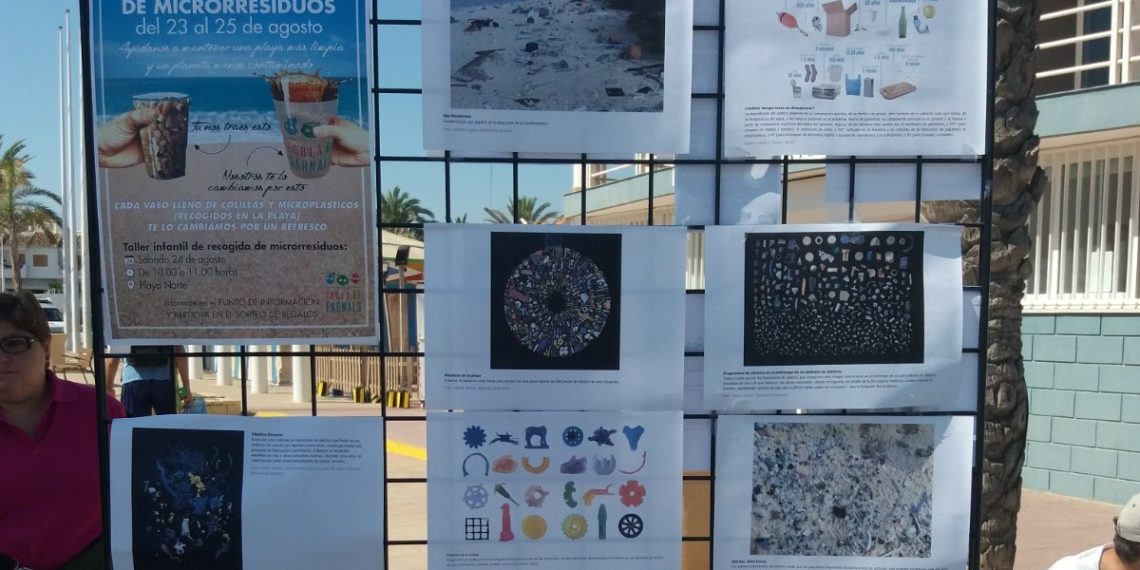La Pobla de Farnals organiza este sábado una recogida de residuos en la Playa Norte