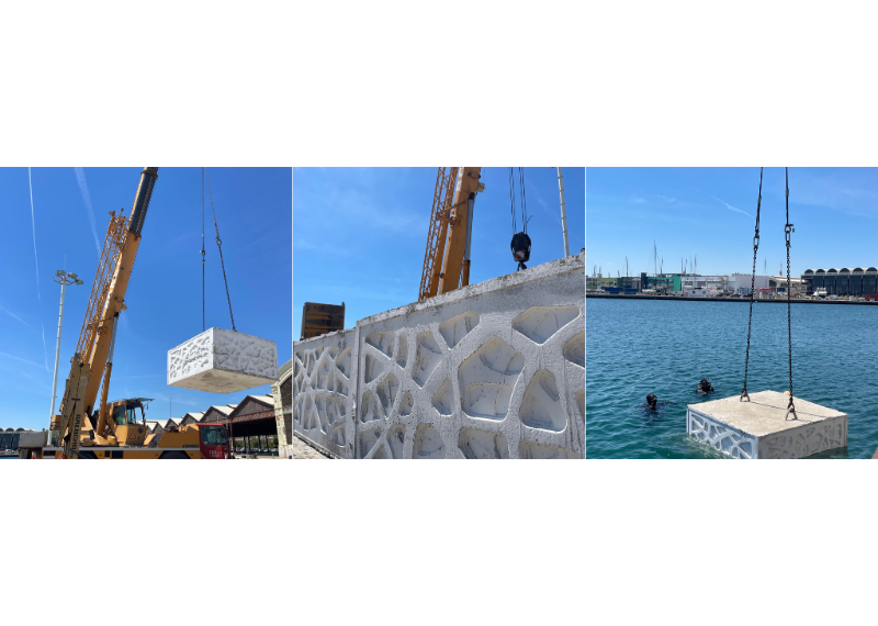 Marina Port Valencia instala bloques de fondeo ecológicos para impulsar la biodiversidad marina