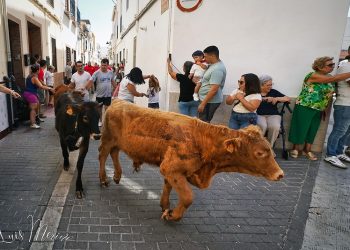 La Pobla de Farnals refuerza la seguridad ante el inicio de los bous al carrer