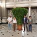 El Salón de Cristal del Ayuntamiento de Valencia luce una alfàbega monumental