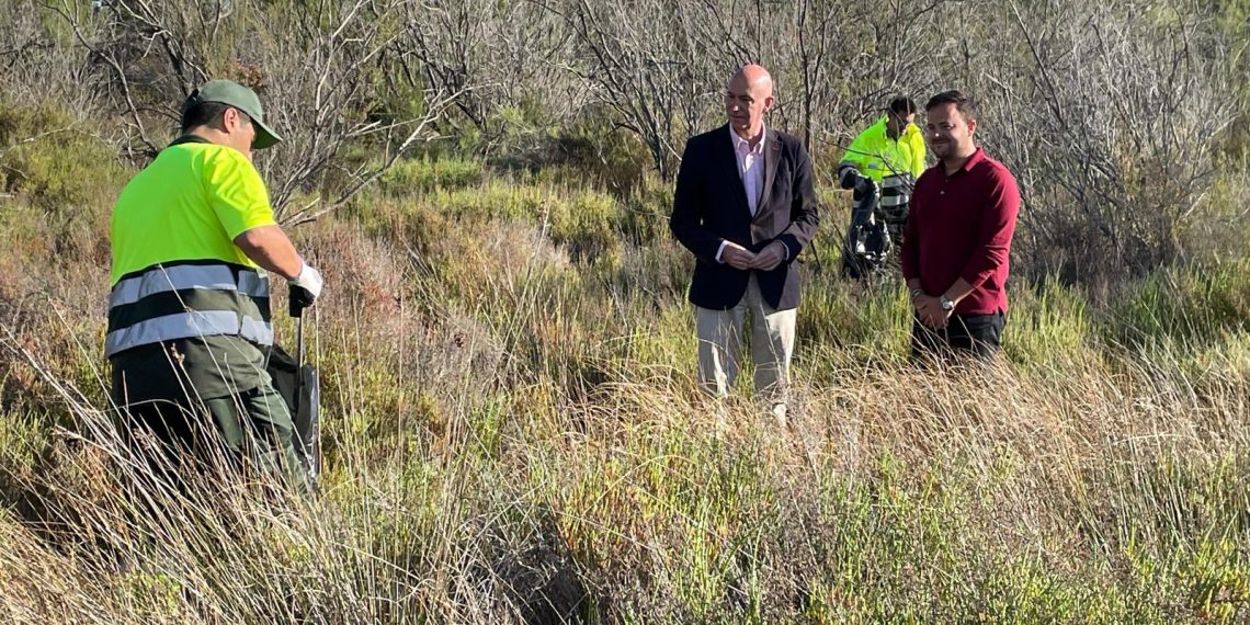 Valencia retira cerca de 15.000 litros de residuos de la Devesa-Albufera durante julio