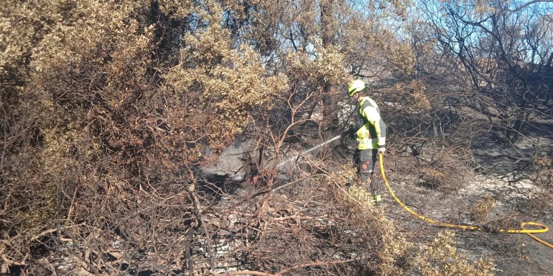Reabren esta noche la CV-500 y la CV-401 tras el incendio de El Saler