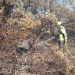 Reabren esta noche la CV-500 y la CV-401 tras el incendio de El Saler