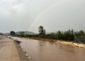 Alzira movilizará casi 9 millones de euros para transformar la ciudad ante los riesgos climáticos