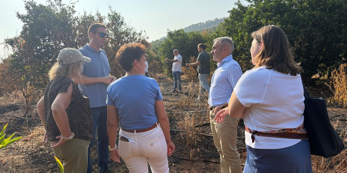 La Generalitat activa ayudas para recuperar el sector agrario afectado por el incendio de Vall d’Uxó