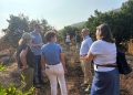 La Generalitat activa ayudas para recuperar el sector agrario afectado por el incendio de Vall d’Uxó
