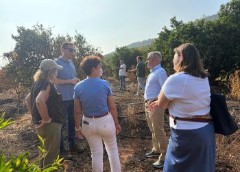 La Generalitat activa ayudas para recuperar el sector agrario afectado por el incendio de Vall d’Uxó