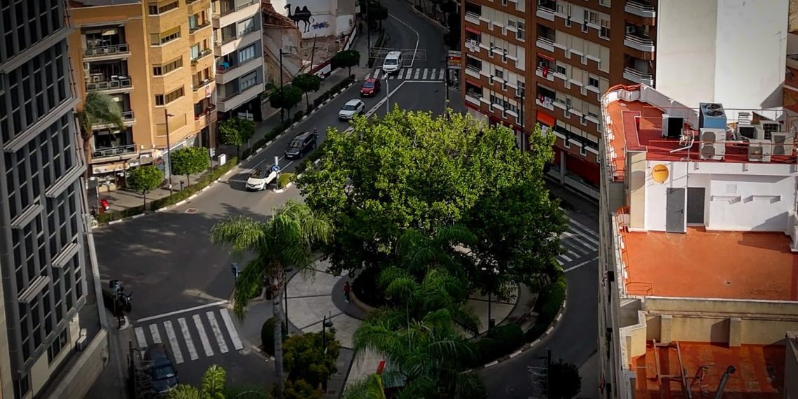El PP de Torrent desmonta el nuevo bulo del PSOE sobre el ficus: “No se estaba perdiendo, cumplía su ciclo vegetativo anual”