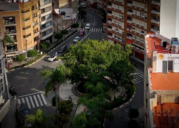 El PP de Torrent desmonta el nuevo bulo del PSOE sobre el ficus: “No se estaba perdiendo, cumplía su ciclo vegetativo anual”