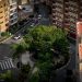 El PP de Torrent desmonta el nuevo bulo del PSOE sobre el ficus: “No se estaba perdiendo, cumplía su ciclo vegetativo anual”