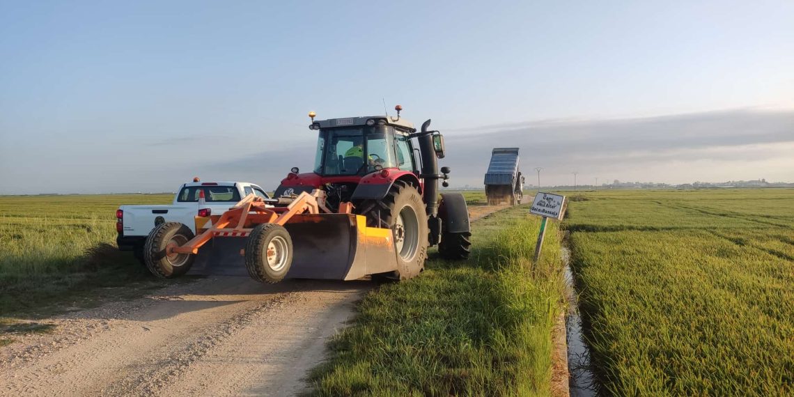 Sueca inicia la mejora de más de 10 kilómetros de caminos rurales con una ayuda de la Generalitat
