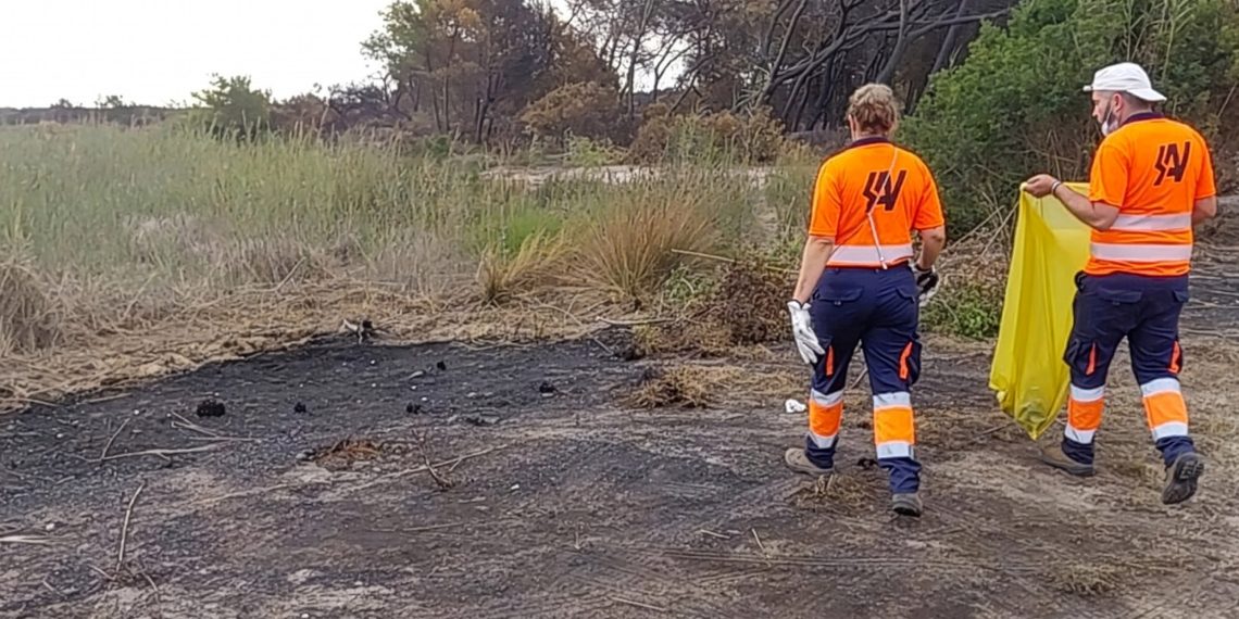 Valencia retira 750 kilos de residuos tras el incendio de El Saler