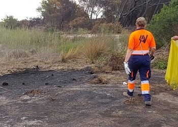 Valencia retira 750 kilos de residuos tras el incendio de El Saler