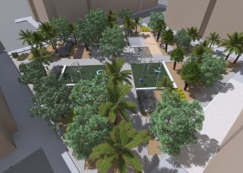 La Malva-rosa remodela el jardín de la plaza Cronista Momblanch