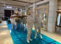 Valencia abrirá el Museo del Mar el próximo 15 de septiembre