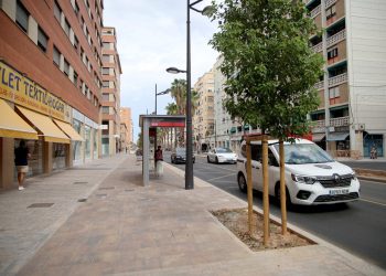 Las avenidas Giorgeta y Pérez Galdós incorporan 644 árboles y alcorques más grandes para mejorar los espacios de sombra