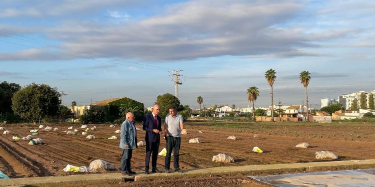 El Consell Agrari garantiza la recogida y reciclaje de plásticos agrícolas en la Huerta de Valencia