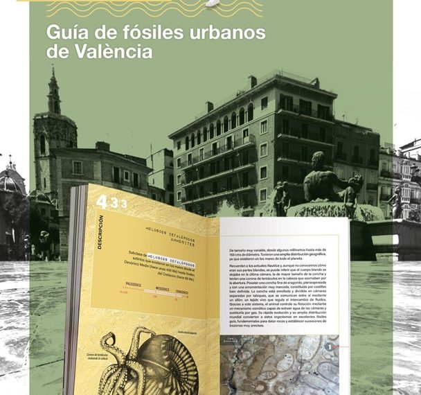 Valencia descubre sus fósiles urbanos a través de una nueva guía