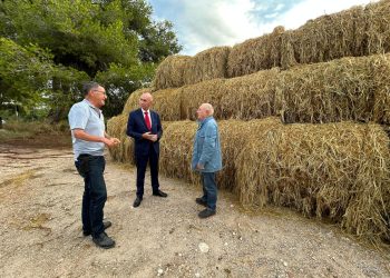 El Consell Agrari de Valencia pone en marcha la campaña de recogida de la paja del arroz para facilitar el trabajo de los agricultores