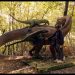 La Filmoteca Valenciana proyecta cinco películas en la Muestra de Cine Rumano
