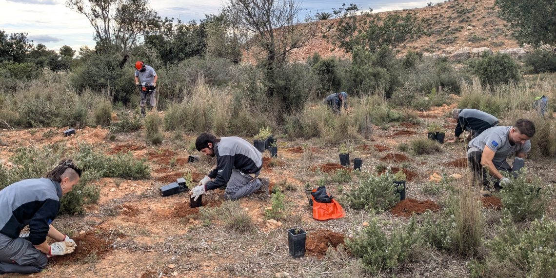 La Comunitat Valenciana lidera en España la recuperación de flora amenazada