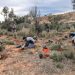 La Comunitat Valenciana lidera en España la recuperación de flora amenazada