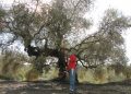 LA UNIÓ alerta de que solo el 5,8% de los perceptores de la PAC en la Comunitat Valenciana tiene menos de 40 años