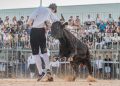 La Pobla Llarga recupera los Bous al Carrer tras 15 años de ausencia