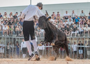 La Pobla Llarga recupera los Bous al Carrer tras 15 años de ausencia