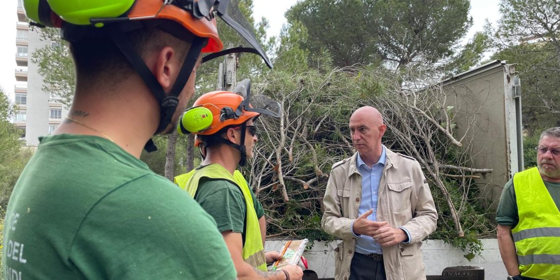 La Devesa-Albufera duplica el peso de los trabajos de prevención junto a edificios