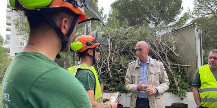 La Devesa-Albufera duplica el peso de los trabajos de prevención junto a edificios