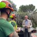 La Devesa-Albufera duplica el peso de los trabajos de prevención junto a edificios