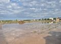 El temporal causa daños en hortalizas de l’Horta Nord y preocupación en el arroz y el caqui