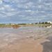 El temporal causa daños en hortalizas de l’Horta Nord y preocupación en el arroz y el caqui