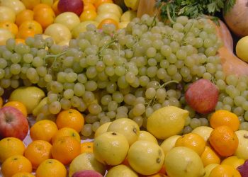 AVA-ASAJA denuncia un “agosto negro” por las alertas en frutas y hortalizas de terceros países