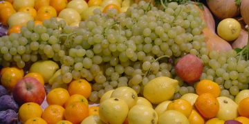 AVA-ASAJA denuncia un “agosto negro” por las alertas en frutas y hortalizas de terceros países