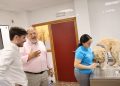 Valencia registra 130 adopciones de animales entre junio y septiembre