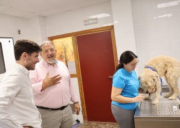Valencia registra 130 adopciones de animales entre junio y septiembre