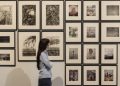 El IVAM despide la exposición ‘La Albufera’ con una jornada sobre los retos del parque natural