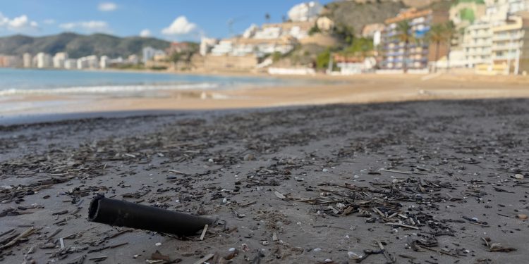 La Generalitat reclama al Gobierno que limpie las playas afectadas por la dana Adam