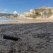 La Generalitat reclama al Gobierno que limpie las playas afectadas por la dana Adam