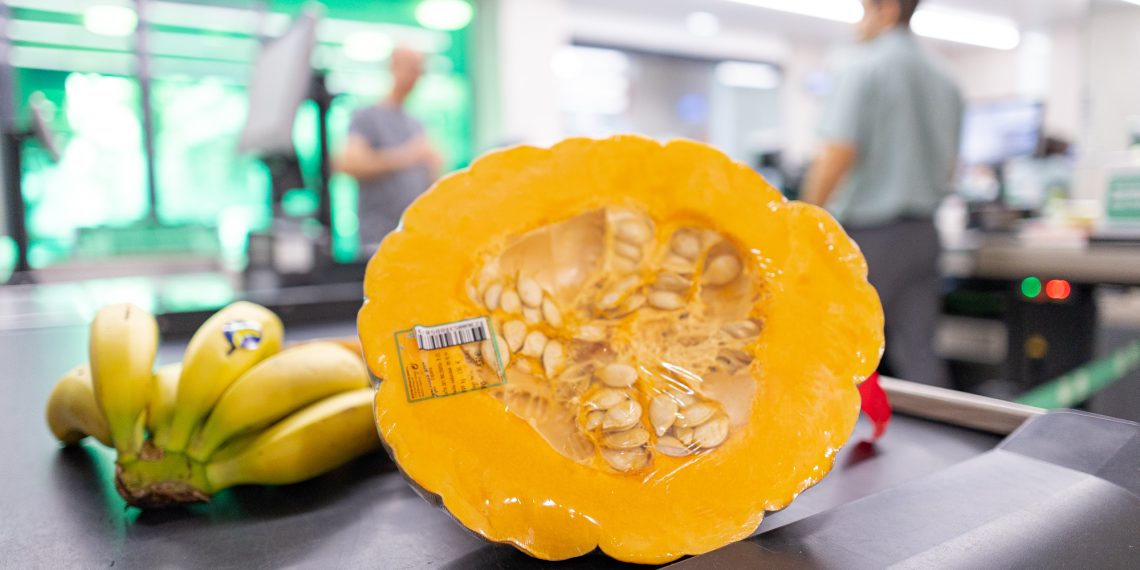 Mercadona Prevé comprar 450 toneladas de calabaza de asar cultivada en Valencia, casi un 13% más que el año pasado