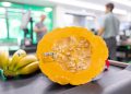 Mercadona Prevé comprar 450 toneladas de calabaza de asar cultivada en Valencia, casi un 13% más que el año pasado