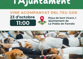 La Pobla de Farnals será el primer municipio valenciano en integrar PetFirst para digitalizar la información de las mascotas